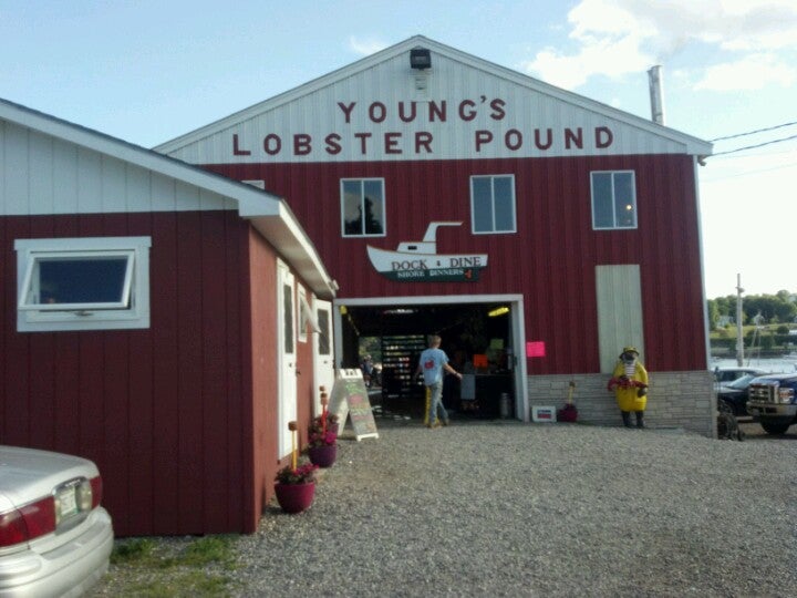 Maine Belfast Young's Lobster Shore Pound photo 5