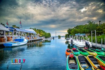 Florida Key West Ibis Bay Beach Resort photo 3