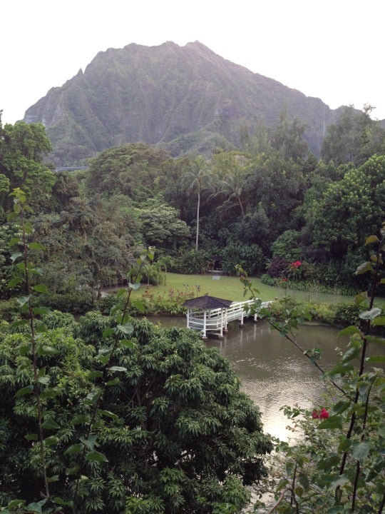 Hawaii Oahu Haleiwa Joe's At Haiku Gardens photo 7