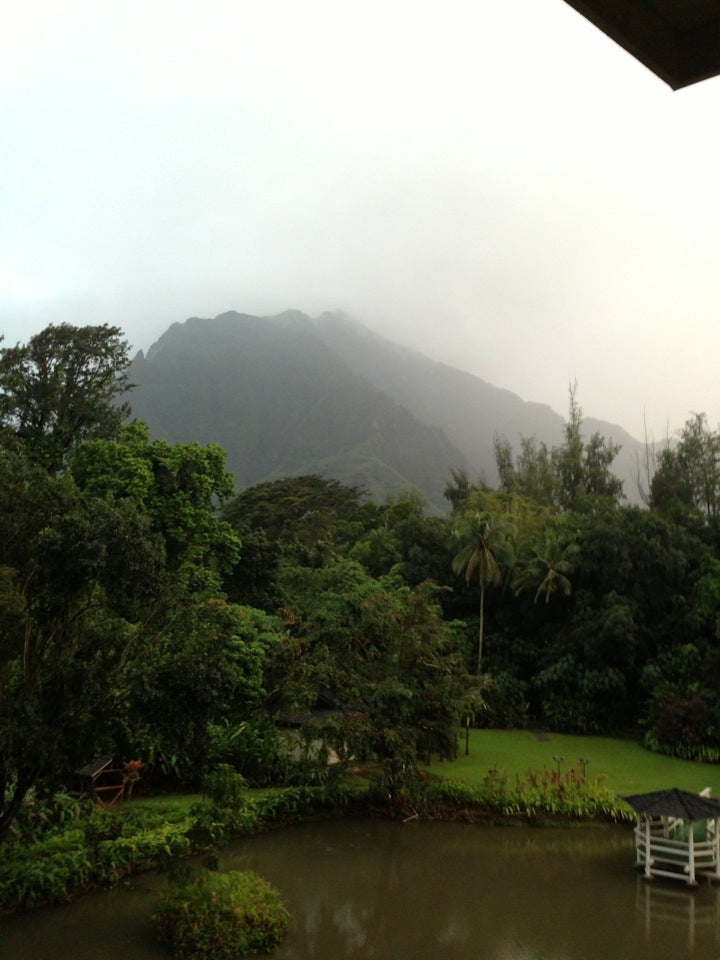 Hawaii Oahu Haleiwa Joe's At Haiku Gardens photo 5