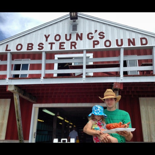 Maine Belfast Young's Lobster Shore Pound photo 3