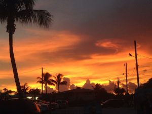 Florida Cape Coral Smokin Oyster Brewery photo 5