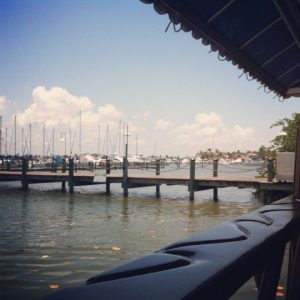 Florida Naples The Dock At Crayton Cove photo 5