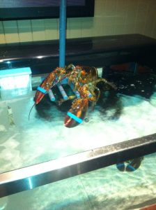 Florida Kissimmee Red Lobster photo 7