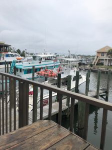 Alabama Orange Beach Gulf Shores Steamer photo 7