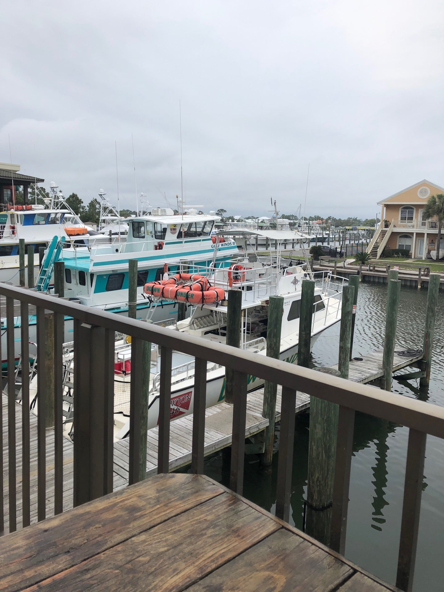 Alabama Orange Beach Gulf Shores Steamer photo 7