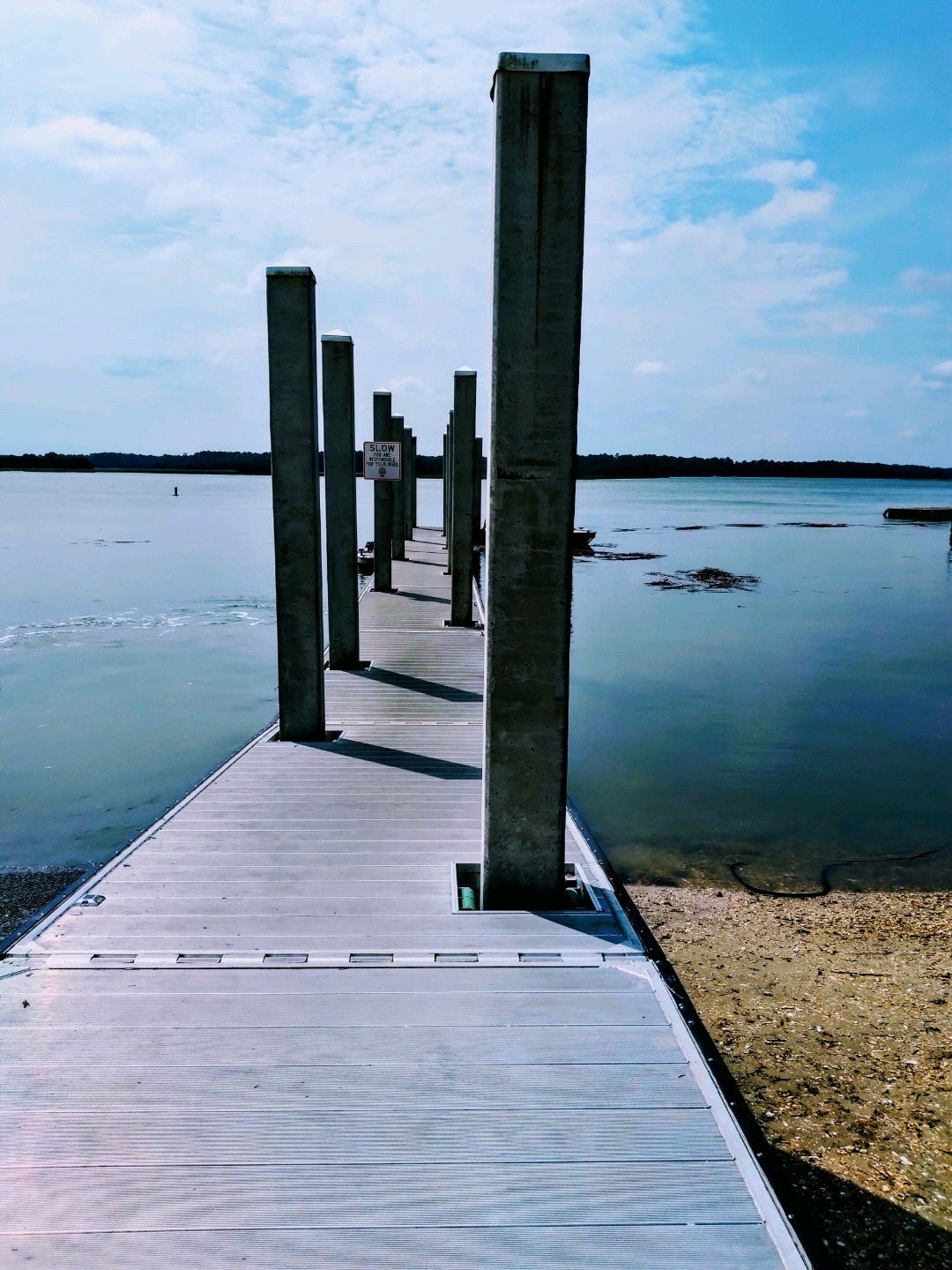 Georgia Savannah Bluffton Oyster Co. photo 5