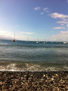 Hawaii Lahaina Honu Seafood & Pizza photo 5