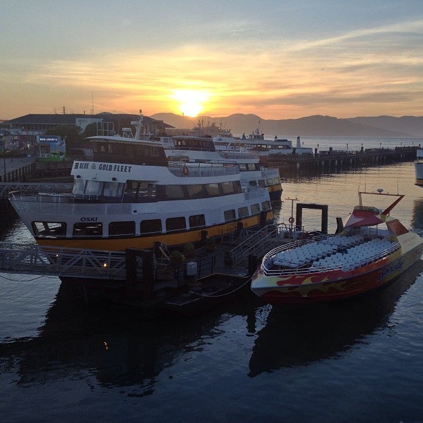 California San Francisco Fog Harbor Fish House photo 5