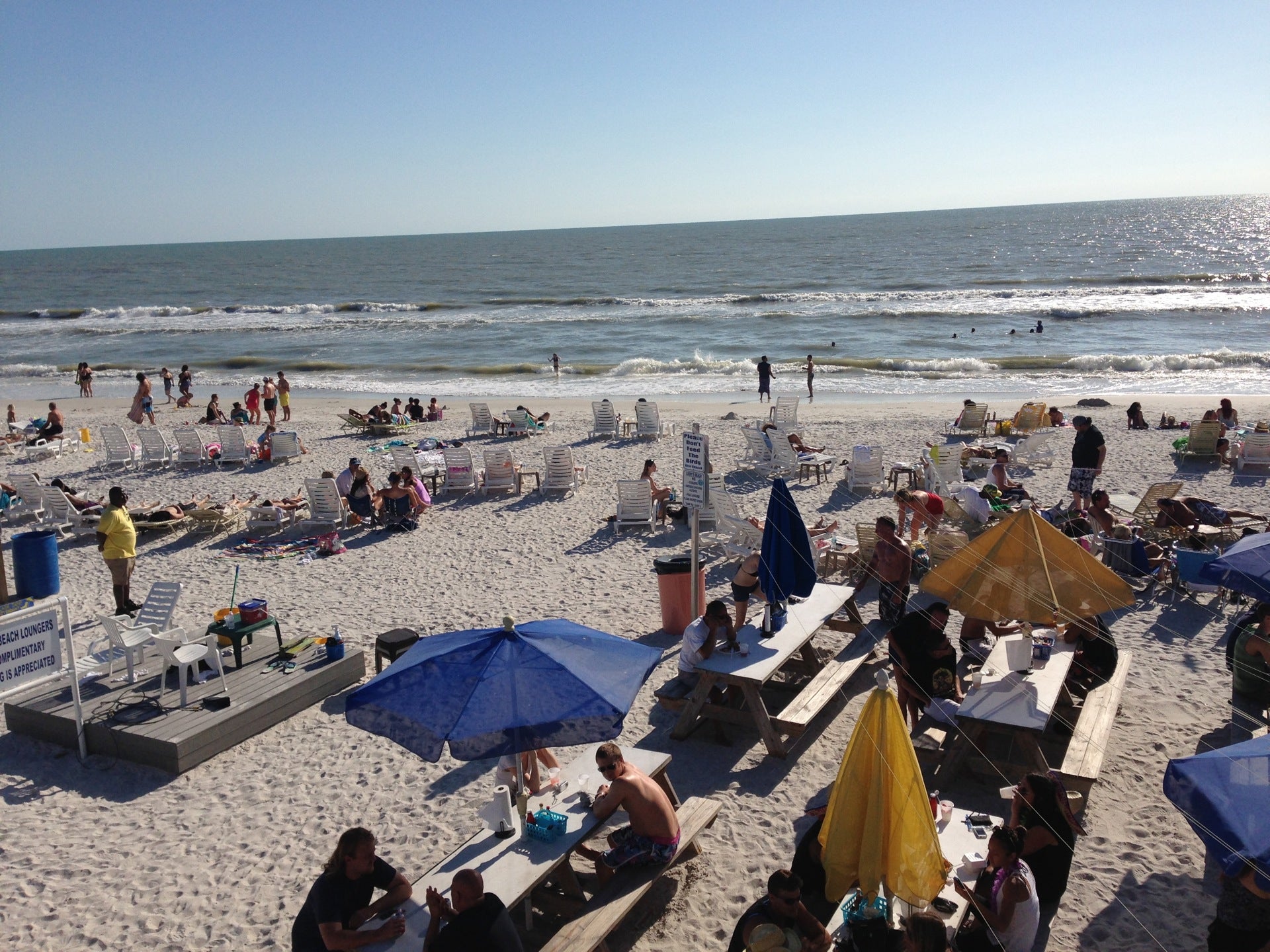 Florida Clearwater Caddy's on the Beach photo 7