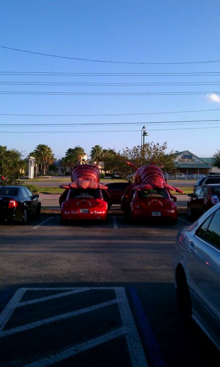 Florida Kissimmee Boston Lobster Feast photo 5