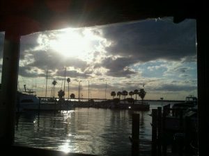 Florida Clearwater Olde Bay Cafe & Fish Market photo 5