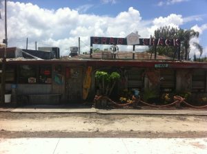 Florida Saint Petersburg Crab Shack Restaurant photo 7