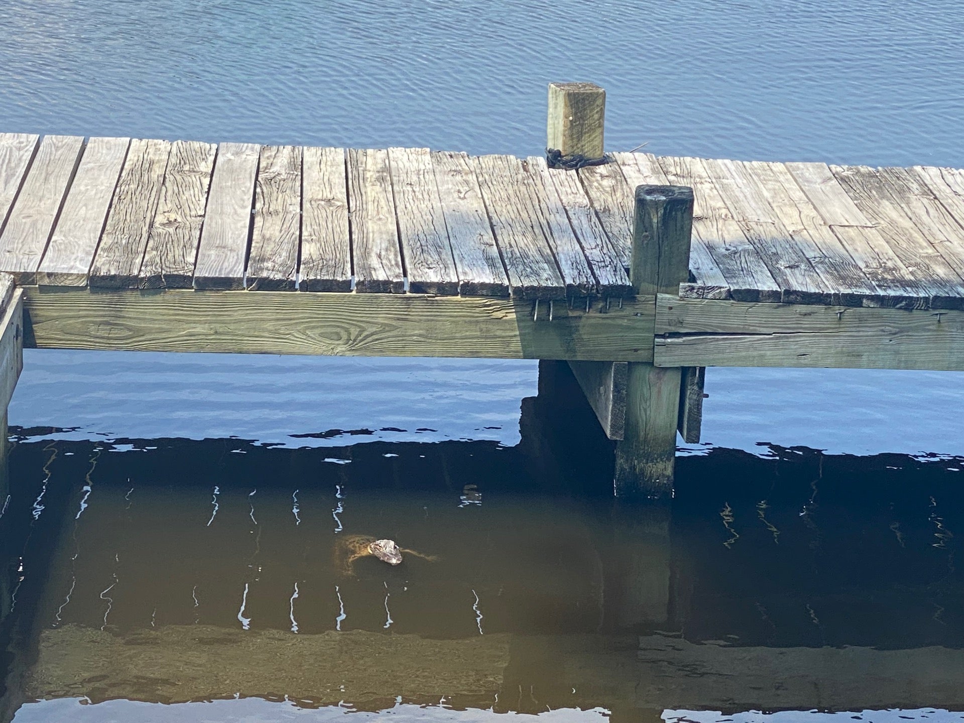 North Carolina Jacksonville Marina Cafe photo 7