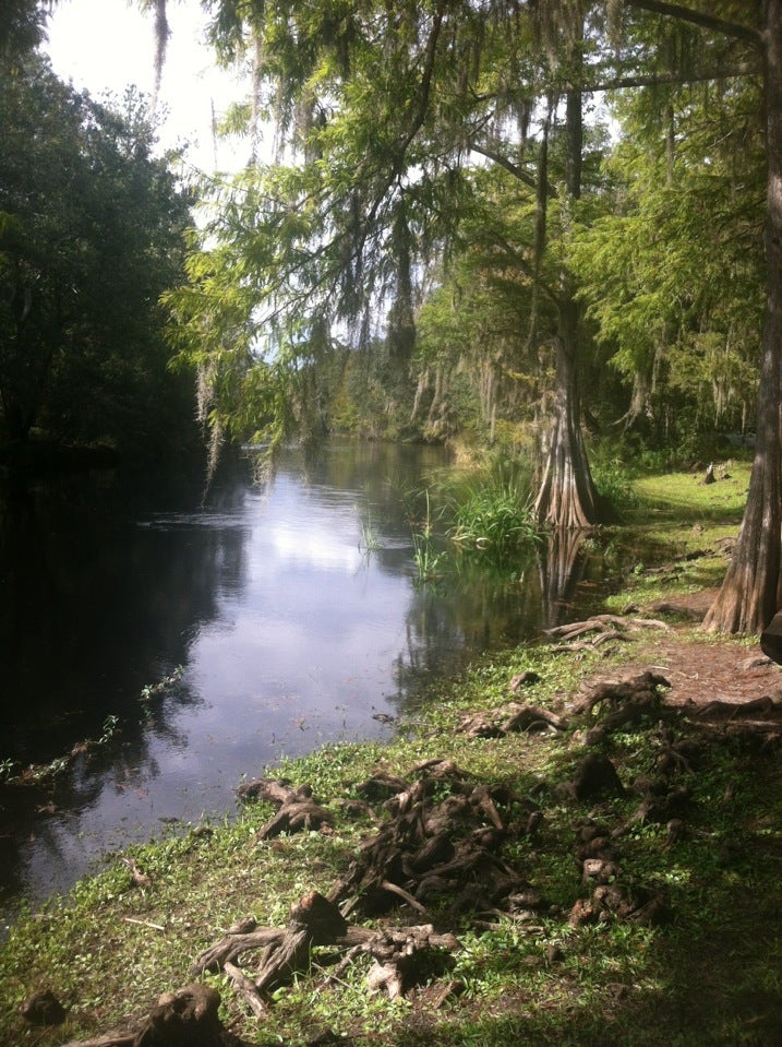 Florida Ocala Stumpknockers Restaurant photo 7