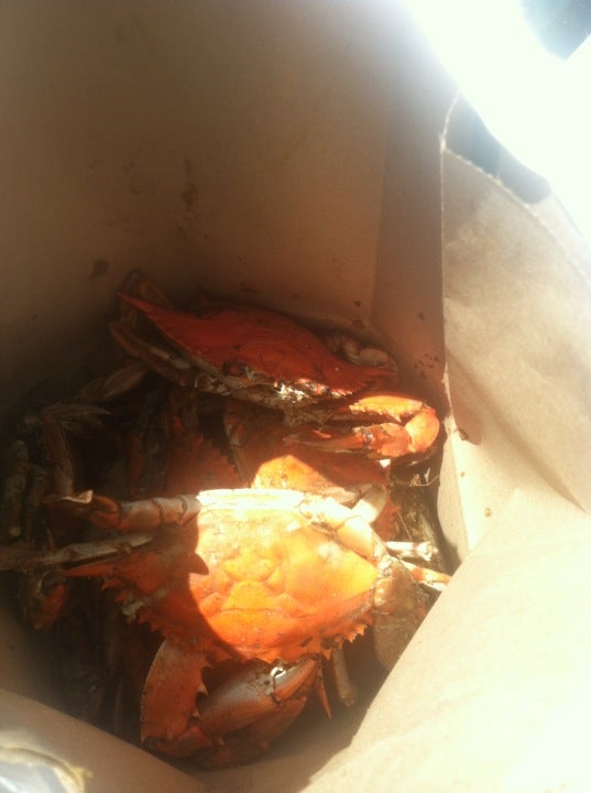 Maryland Laurel Ernie's Crab House photo 3