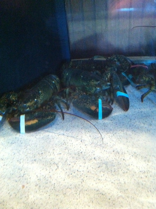 Minnesota Saint Cloud Red Lobster photo 7