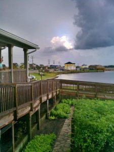 North Carolina Elizabeth City Basnight's Lone Cedar Cafe photo 7