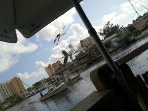 Florida Miami Garcia's Seafood Grille & Fish Market photo 5