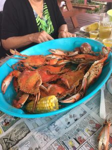 Florida Port Charlotte Peace River Seafood photo 7