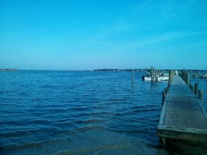 Alabama Foley Pirates Cove Marina & Restaurant photo 7