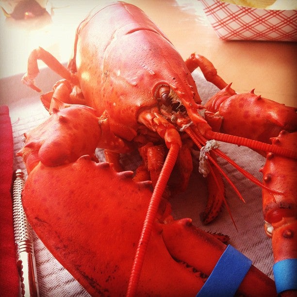 Maine Kittery Chauncey Creek Lobster Pier photo 3