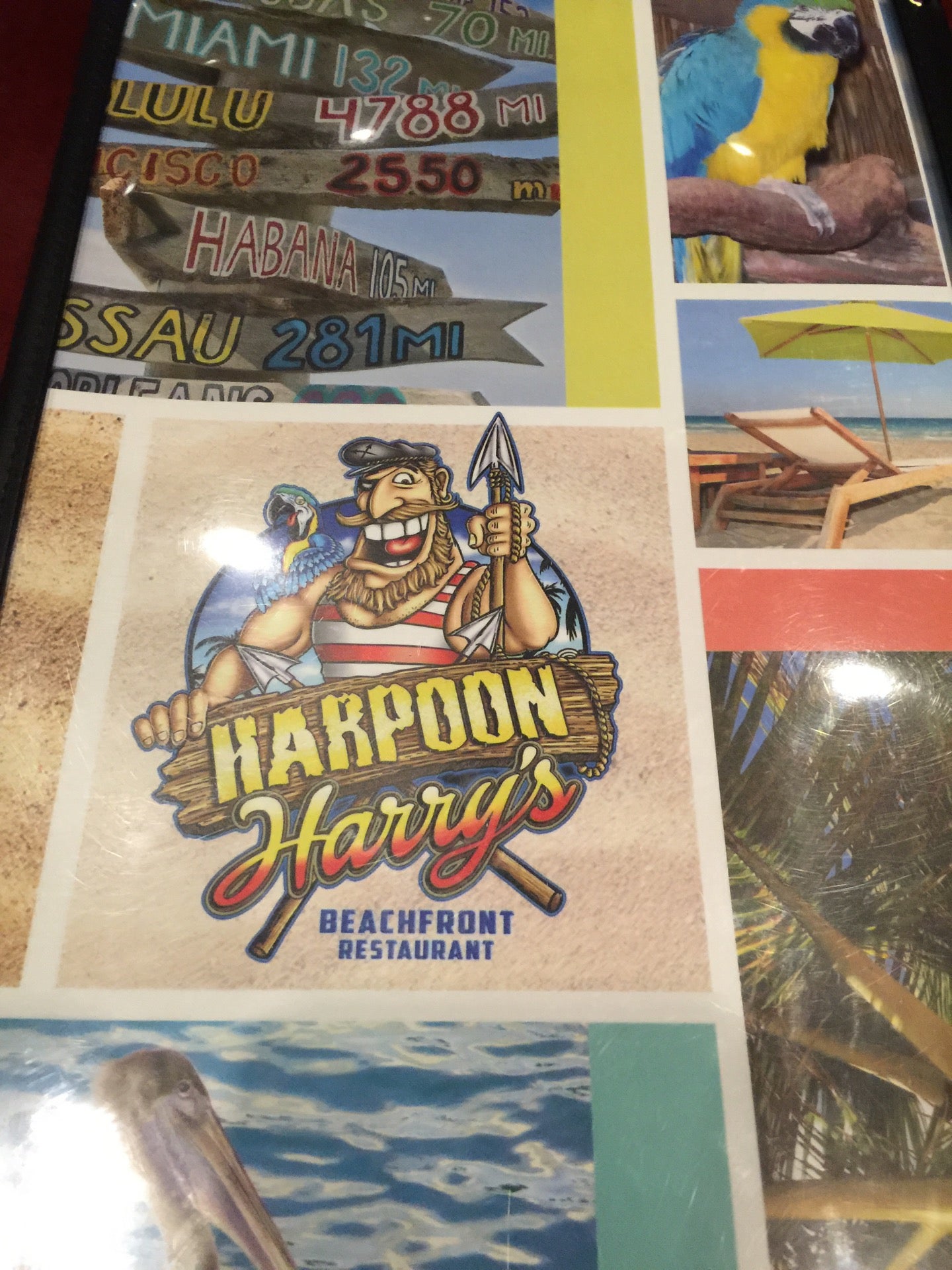 Florida Panama City Beach Harpoon Harry's photo 3