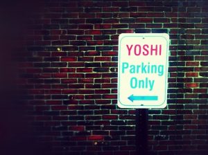 Maine Bangor Yoshi photo 7