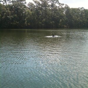 Alabama Foley Pirates Cove Marina & Restaurant photo 5