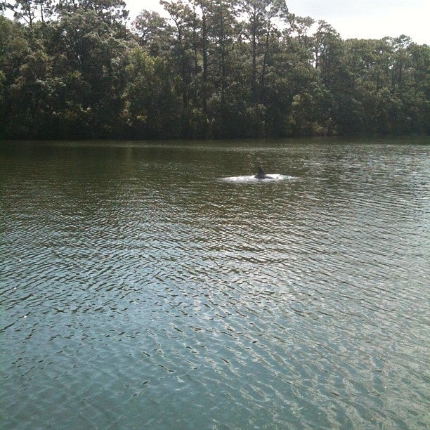 Alabama Foley Pirates Cove Marina & Restaurant photo 5