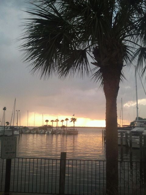 Florida Clearwater Olde Bay Cafe & Fish Market photo 3