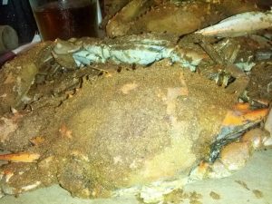 Maryland Baltimore Skipjack's Crab House photo 7