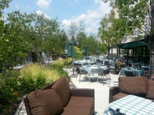 Illinois Naperville Gibsons Bar & Steakhouse photo 7