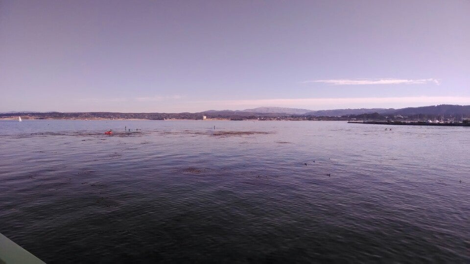 California Salinas Schooners Monterey photo 3