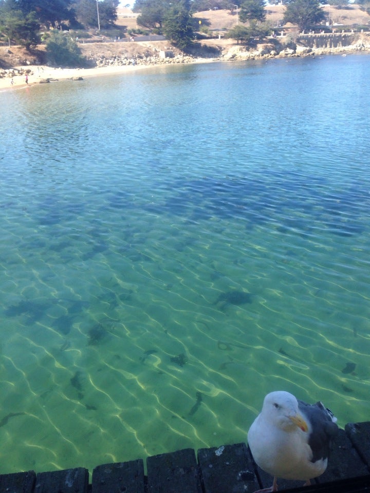 California Salinas Old Fisherman's Grotto photo 5