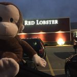 Illinois Lombard Red Lobster photo 1