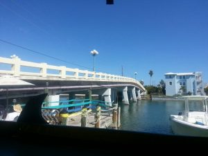 Florida Largo Sea Critters Cafe photo 5