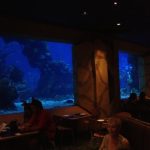 Florida Orlando Coral Reef Restaurant photo 1