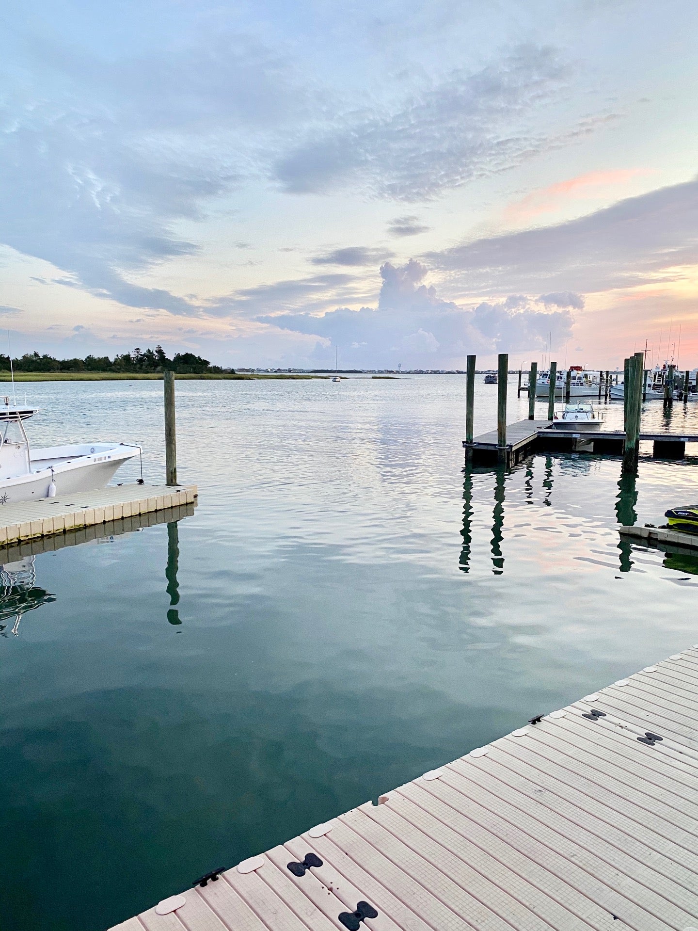 North Carolina Morehead City Southern Salt Seafood Company photo 3