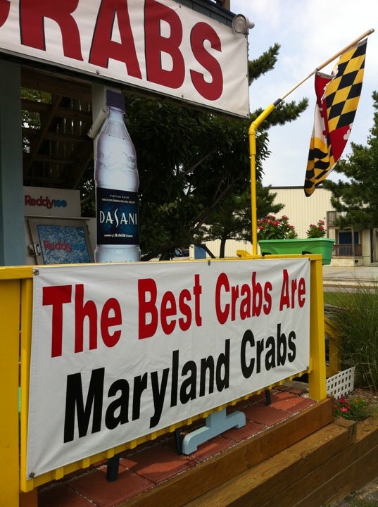 Delaware Selbyville Best Crabs photo 3