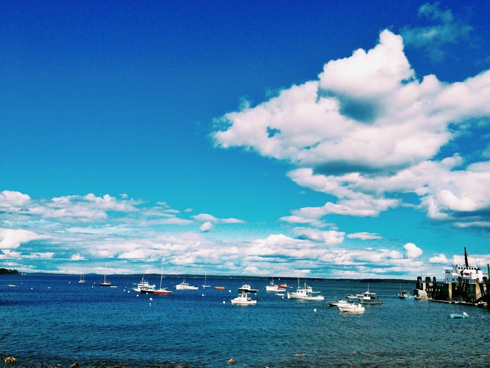 Maine Rockland McLaughlin's Lobster Shack photo 3