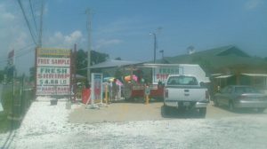 Delaware Selbyville The Shrimp Boat photo 5