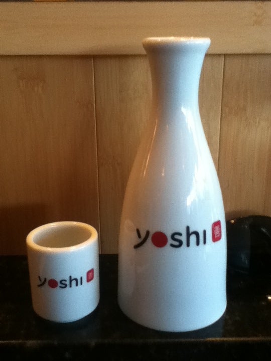 Maine Bangor Yoshi photo 3