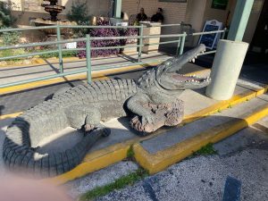 Louisiana New Orleans Jaeger's Seafood and Oyster House photo 7