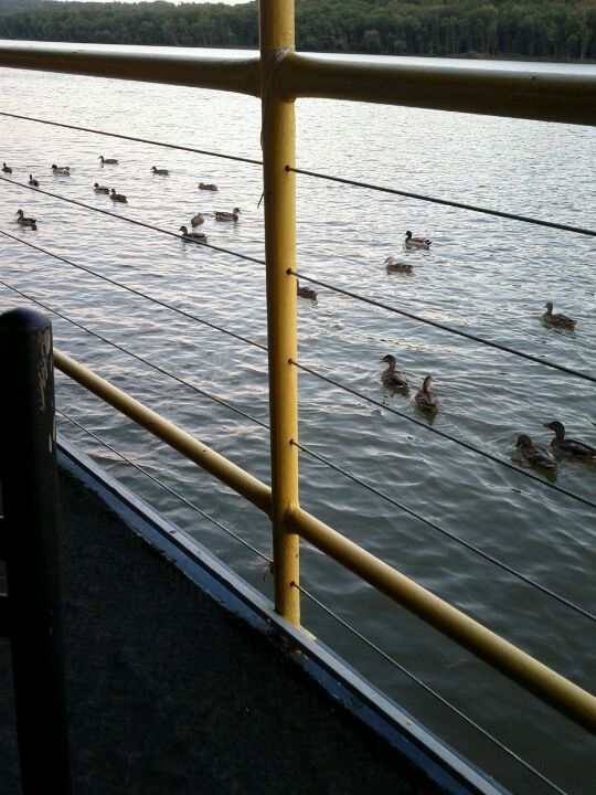 Indiana Lawrenceburg River Watch photo 3