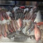 Florida Clearwater Ward's Seafood Market-Take Out photo 1