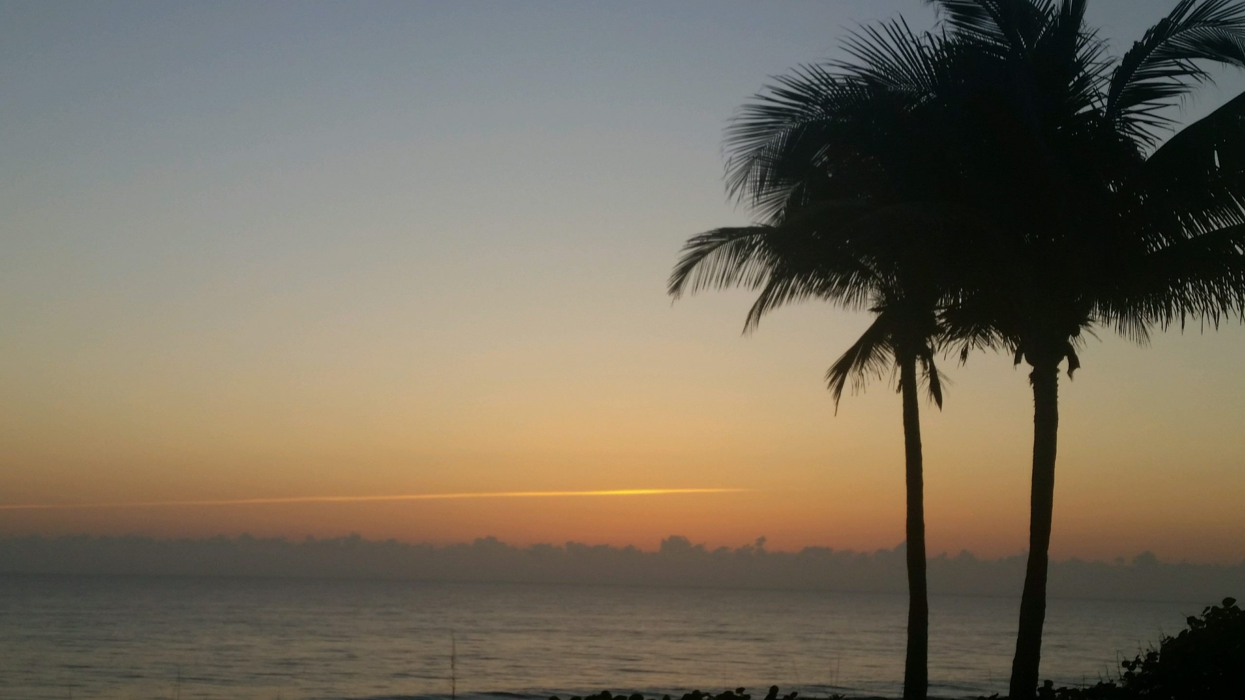 Florida West Palm Beach Hurricane Cafe photo 3