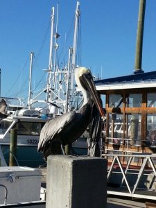 Florida Jacksonville Safe Harbor Seafood Market & Restaurant photo 5