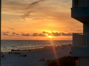 Florida Clearwater Caddy's Madeira Beach photo 7