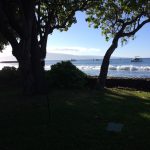 Hawaii Lahaina Frida's Beach House photo 1